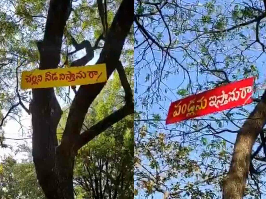 mp santosh kumar appreciates school head master for his great idea on tree uses