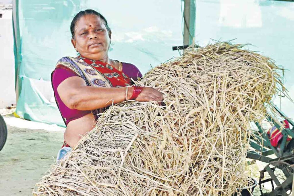 Huzurabad TRS candidate gellu srinivas mother laxmi interview | హుజూరాబాద్‌ టీఆర్‌ఎస్‌ అభ్యర్థి గెల్లు శ్రీనివాస్‌ యాదవ్‌ తల్లి లక్ష్మి ఇంటర్వ్యూ  | Huzurabad Elections