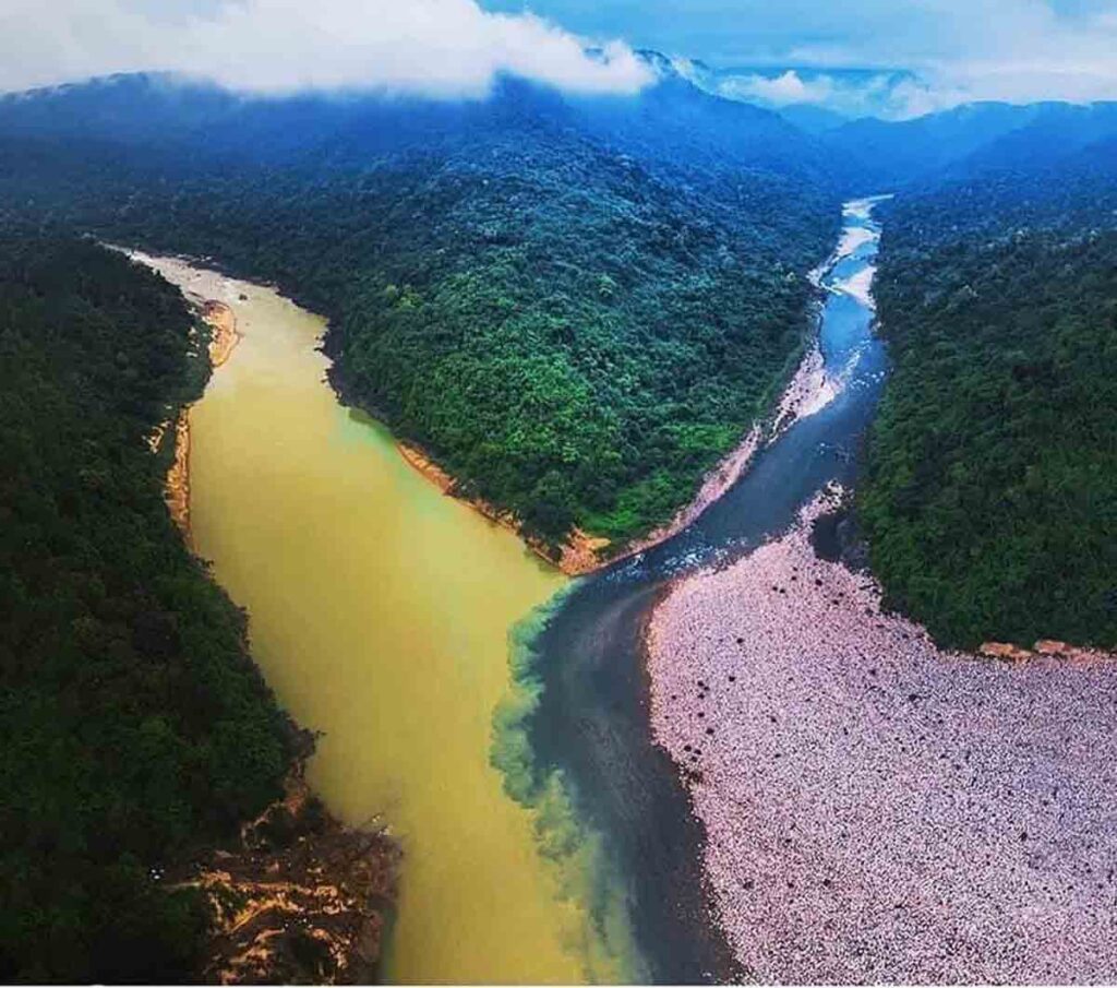 Thousands of Fish Die as Kameng River Suddenly Turns Black in Arunachal china is the main reason