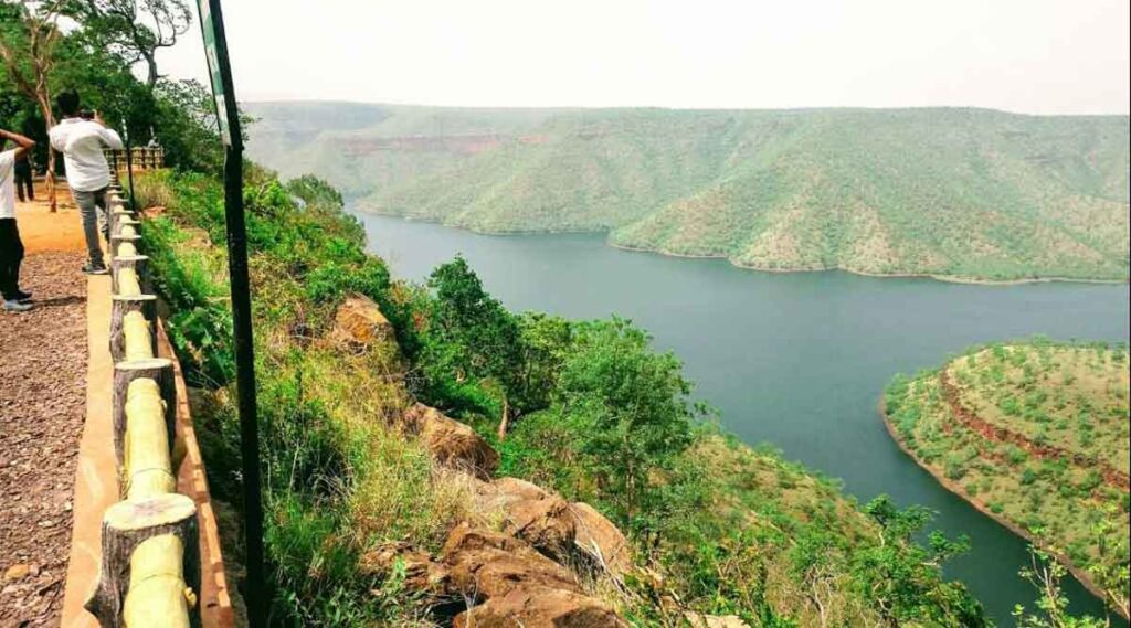 wild life tourism in nallamala